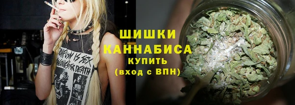 сатива Покачи