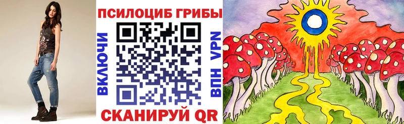 МЕГА ССЫЛКА  Невьянск  Псилоцибиновые грибы Psilocybine cubensis 